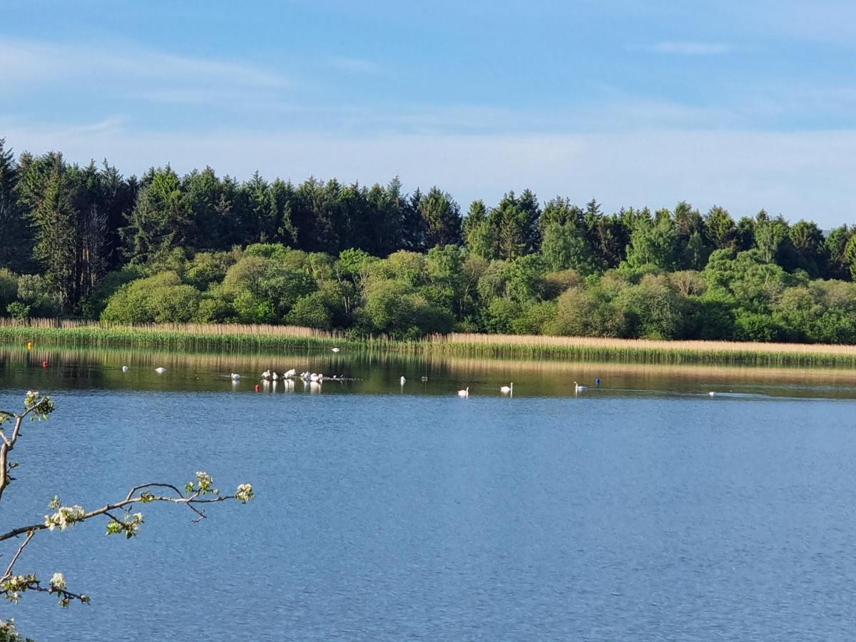 Kimadalyn Villa Forfar Bagian luar foto